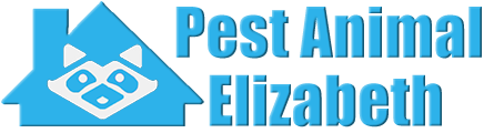 Elizabeth Wildlife and Animal Removal